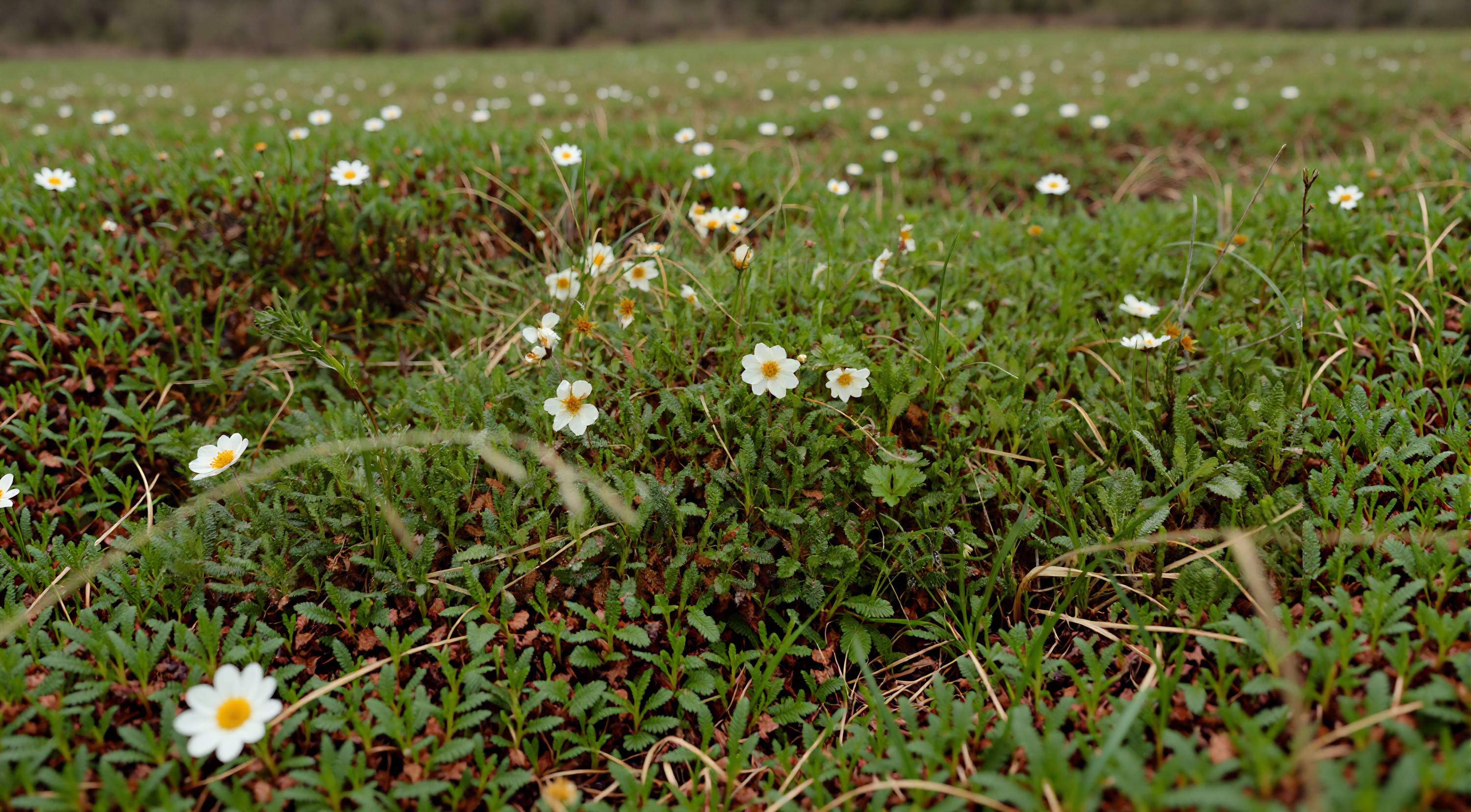 Responsibility Banner